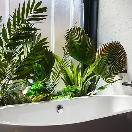 ゲストハウス Hospedium H Cabo Sport